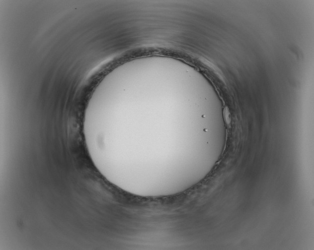 X0000113540872200910091241