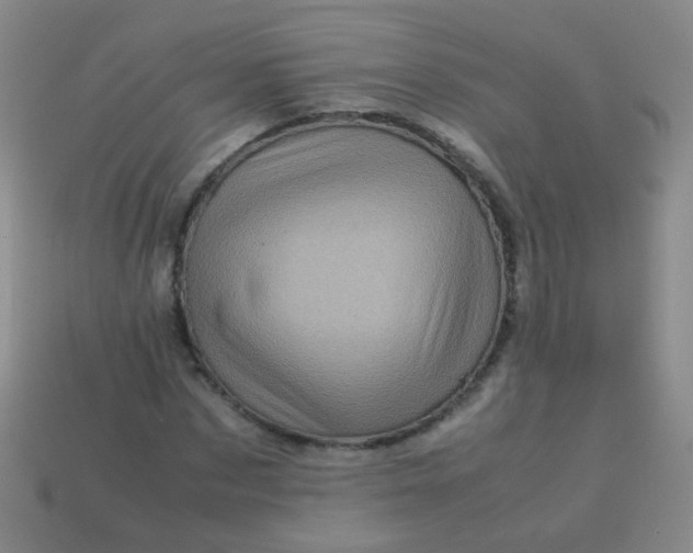 X0000113540873200910091241