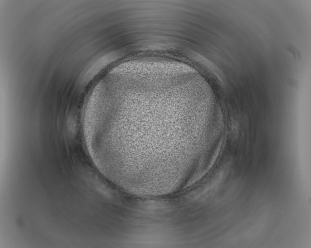 X0000113540874200910091241