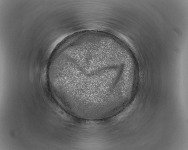 X0000113540875200910091241