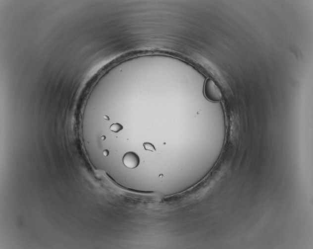 X0000113540876200910091241