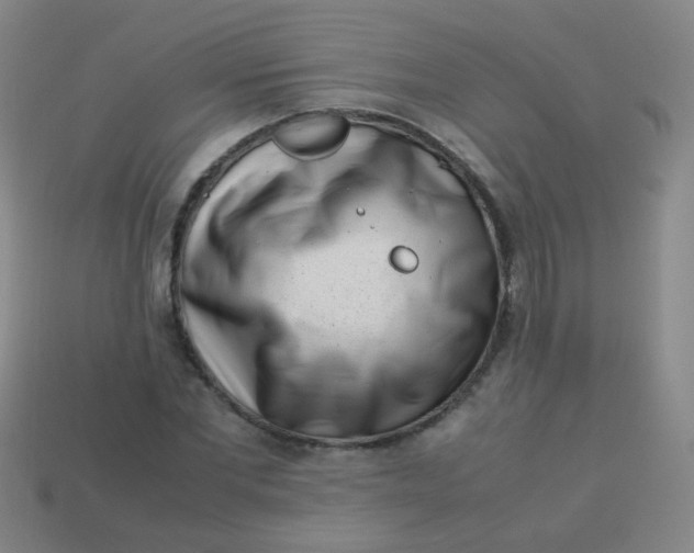 X0000113540877200910091241