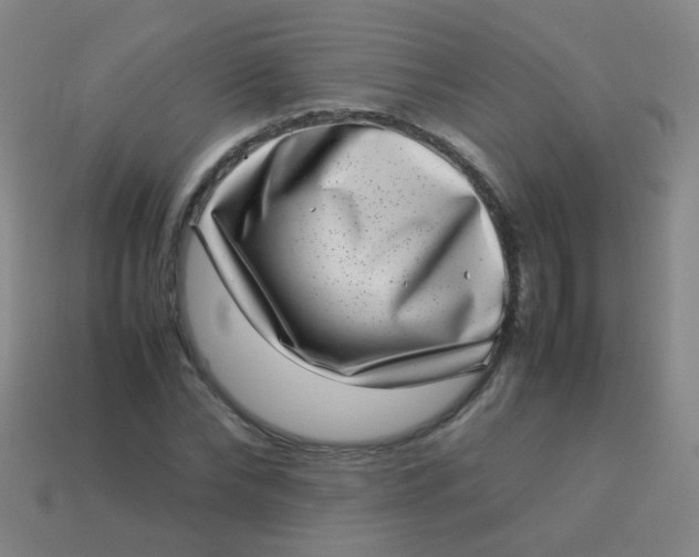 X0000113540878200910091241