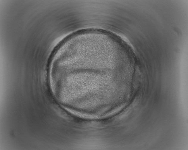 X0000113540879200910091241