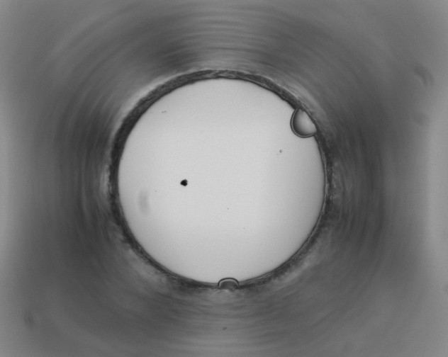 X0000113540880200910091241