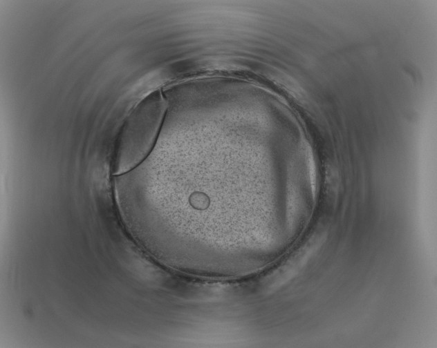 X0000113540881200910091241