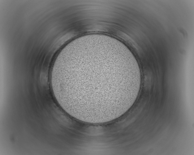 X0000113540882200910091241