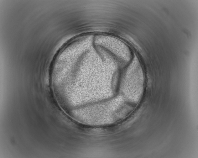 X0000113540883200910091241