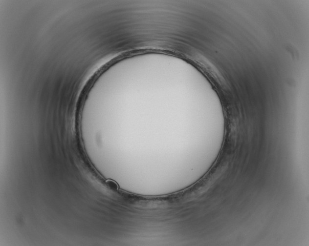 X0000113540884200910091241