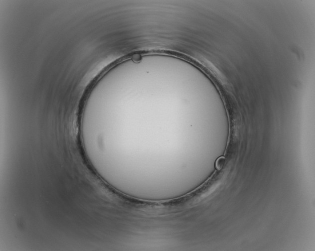 X0000113540885200910091241