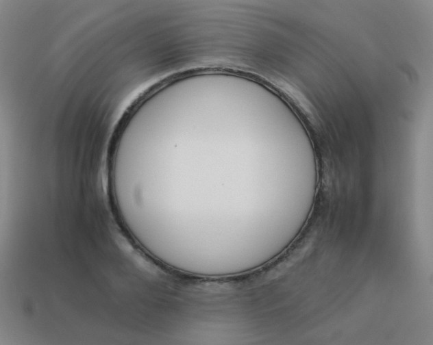 X0000113540888200910091241