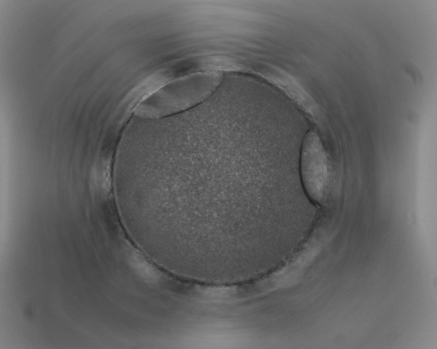 X0000113540889200910091241