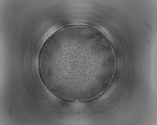 X0000113540893200910091241