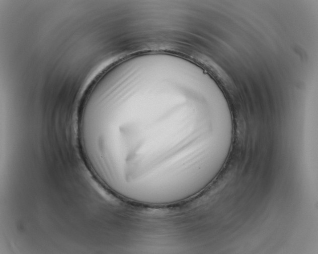 X0000113540894200910091241