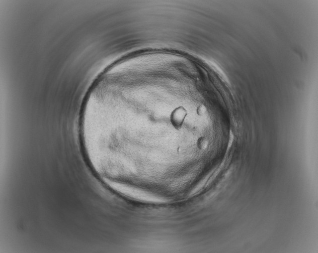 X0000113540895200910091241