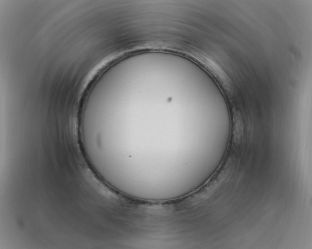 X0000113540896200910091241