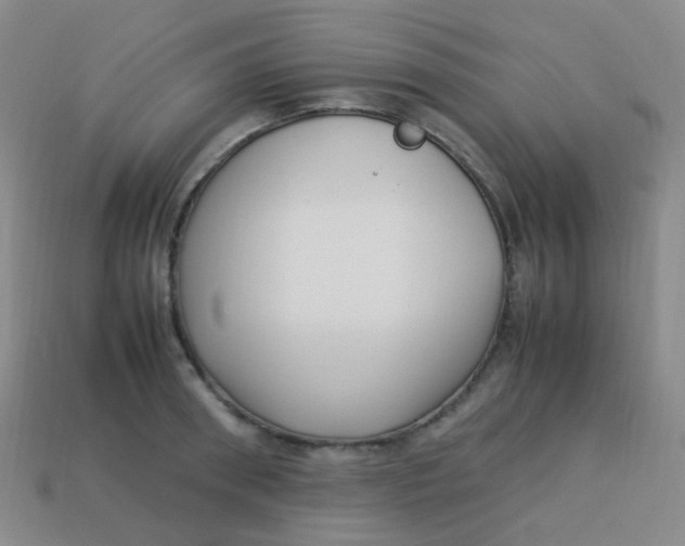 X0000113540898200910091241