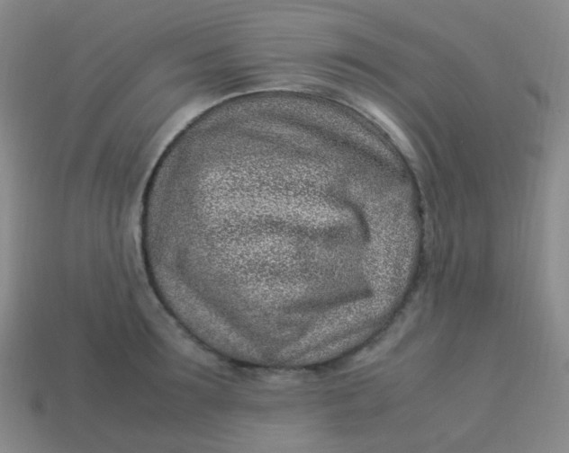 X0000113540899200910091241