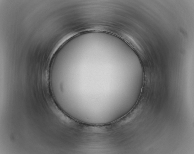 X0000113540900200910091241