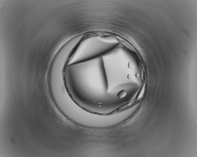 X0000113540901200910091241