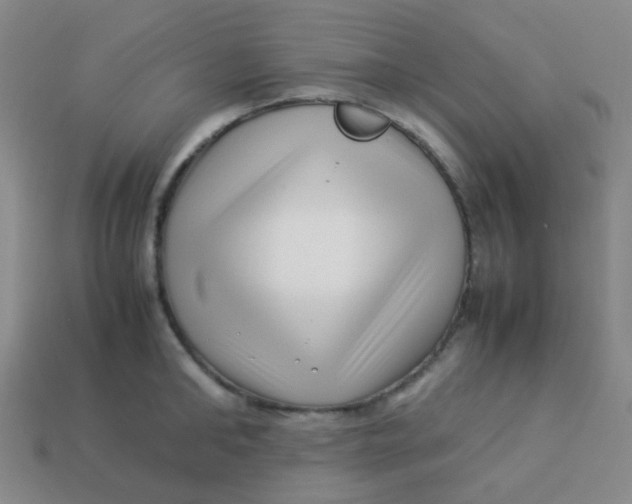 X0000113540902200910091241