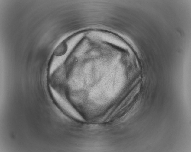 X0000113540903200910091241