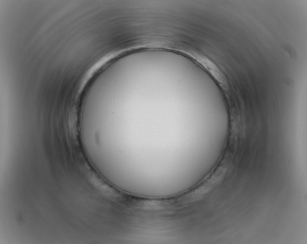 X0000113540904200910091241