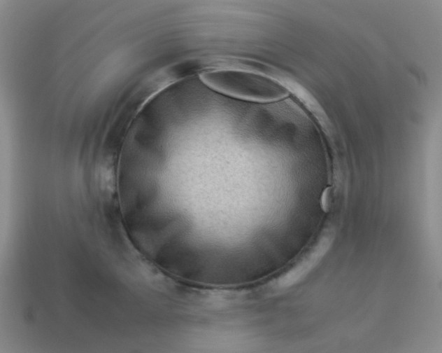 X0000113540905200910091241