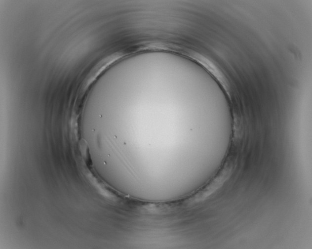 X0000113540906200910091240