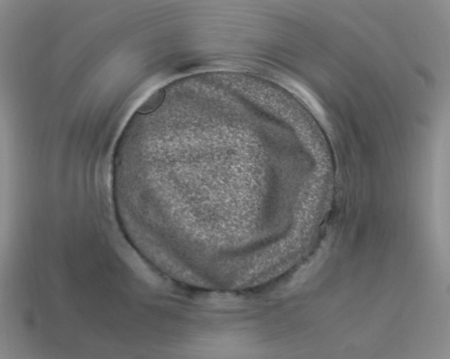 X0000113540907200910091240