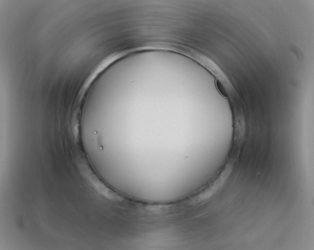 X0000113540908200910091240