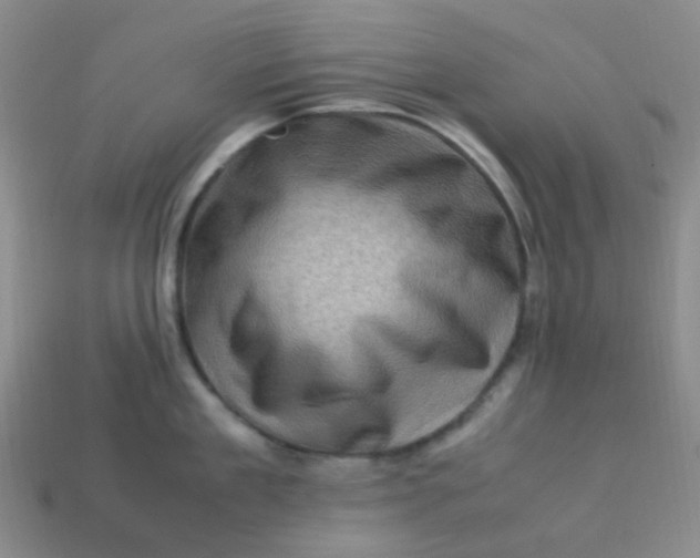 X0000113540909200910091240