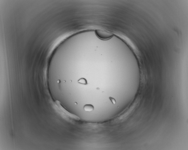 X0000113540910200910091240