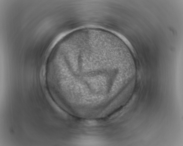 X0000113540911200910091240