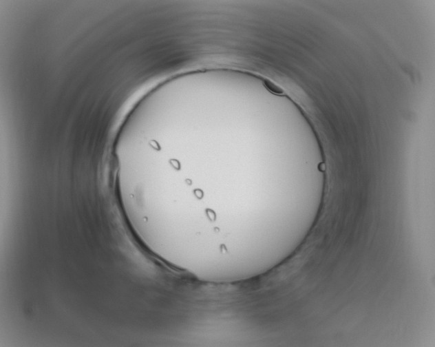 X0000113540912200910091240