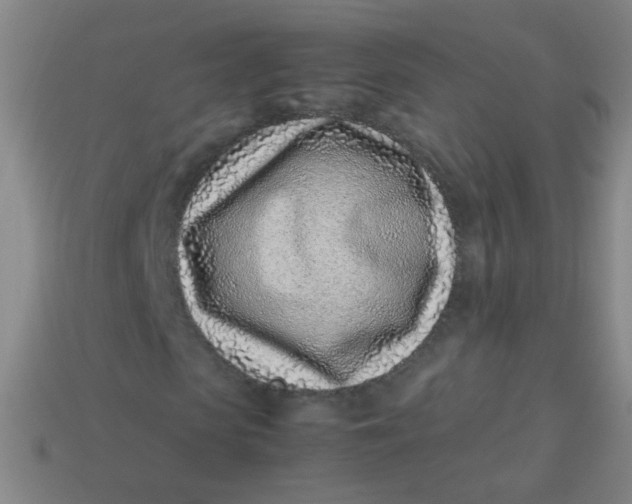 X0000113540913200910091240