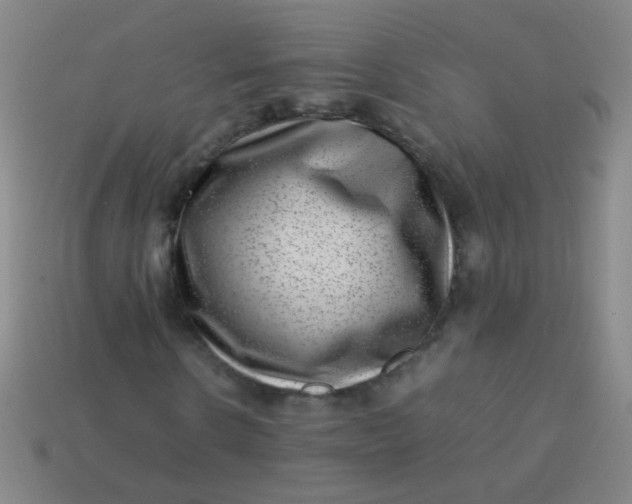 X0000113540914200910091240