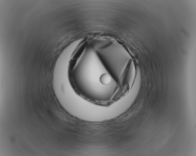 X0000113540916200910091240