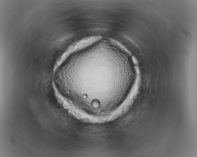 X0000113540917200910091240