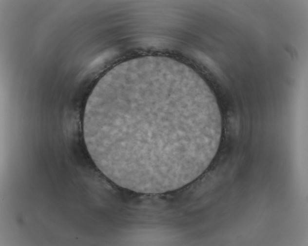 X0000113540918200910091240