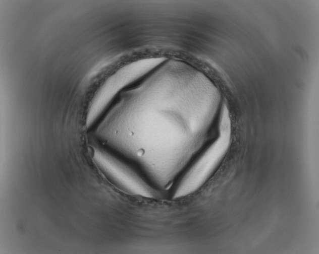 X0000113540919200910091240