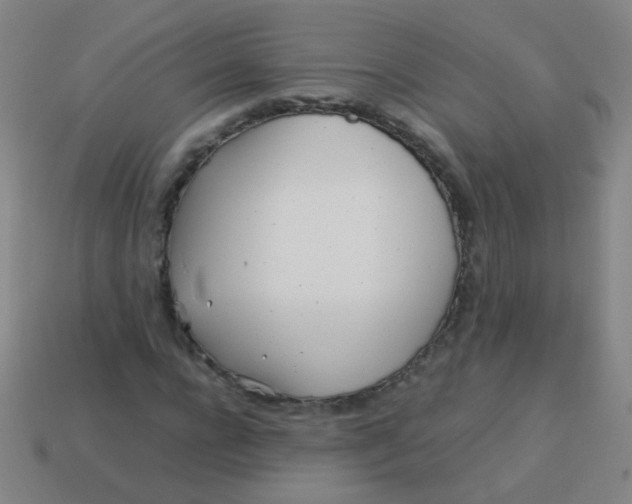 X0000113540920200910091240