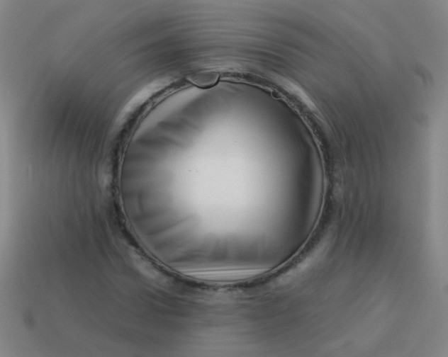 X0000113540922200910091240