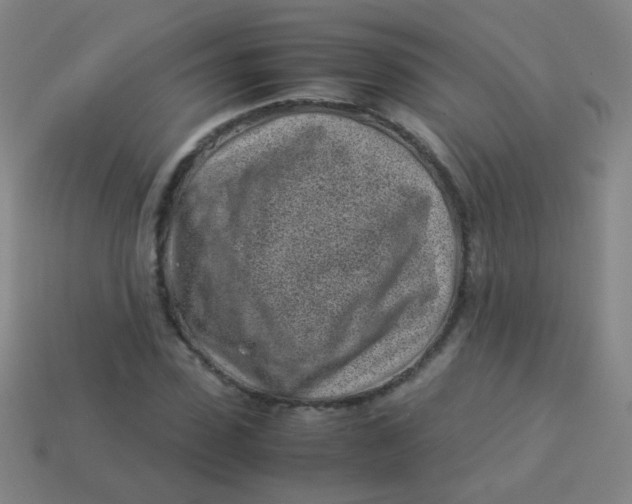 X0000113540923200910091240