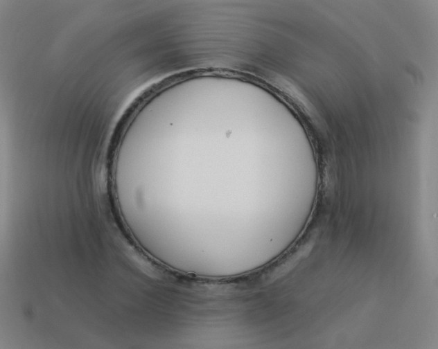 X0000113540924200910091240