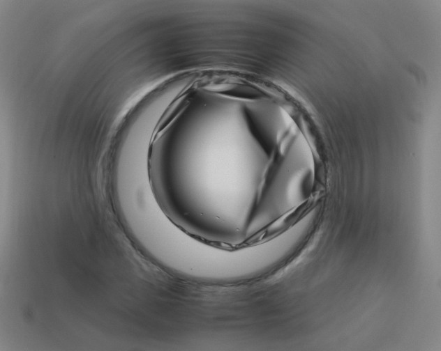 X0000113540925200910091240