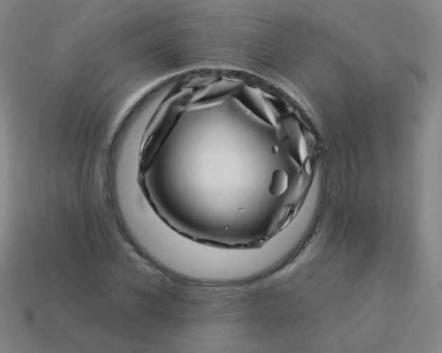 X0000113540926200910091240