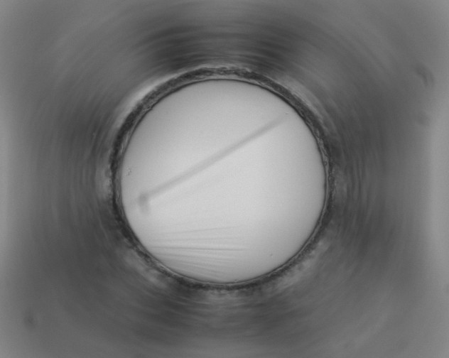 X0000113540927200910091240