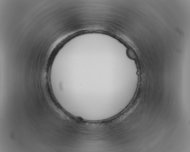 X0000113540928200910091240