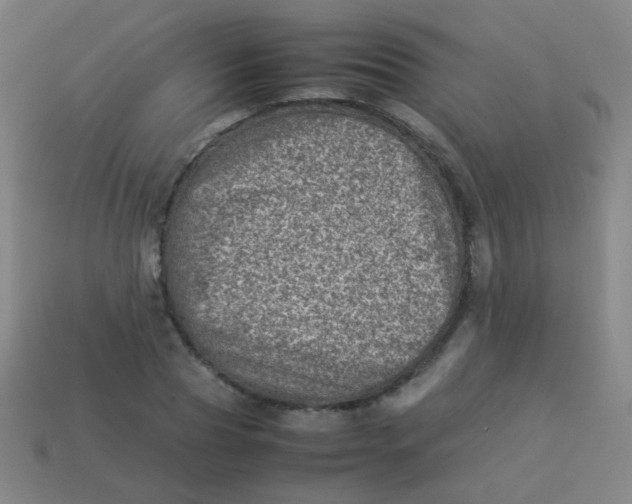 X0000113540929200910091240